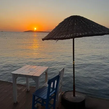 Urla The Orange House - Sanat Sokagi Kuscular